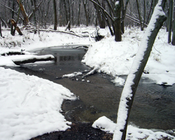 Survivale Campout,  Scout Ranch, Dec 2007